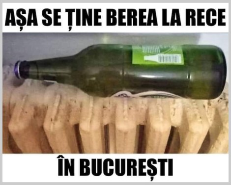 cum se tine berea la rece in Bucuresti