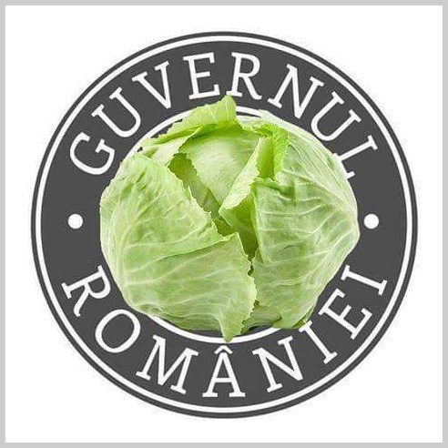 noua sigla a guvernului Romaniei