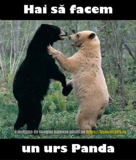 bancul zilei cum a aparut ursul Panda