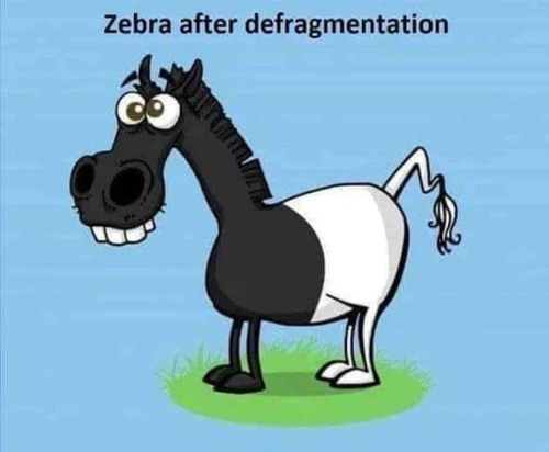 cum arata o zebra defragmentata