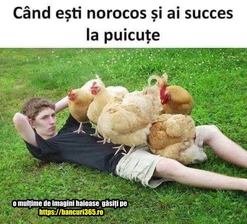 cand ai noroc la puicute bancuri