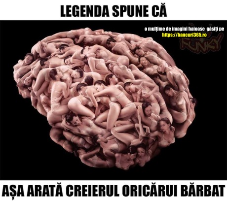 cum arata creierul unui barbat