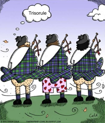 cum arata un scotian tradator