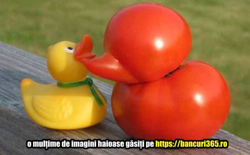 O leguma cu forma ciudata6