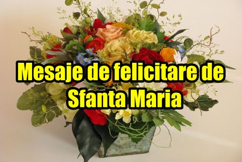 mix Admission Imperial Mesaje de Sfanta Marie mica - mesaje si texte SMS de Sfanta Maria