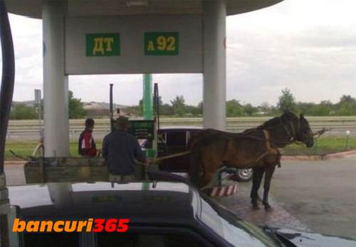 imagini-haioase-2013-134