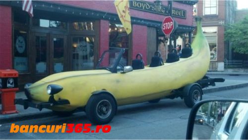 imagini-haioase-2013-14