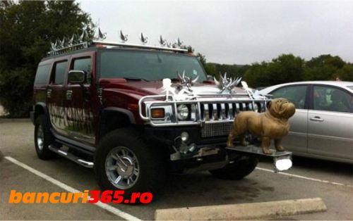 imagini-haioase-2013-9