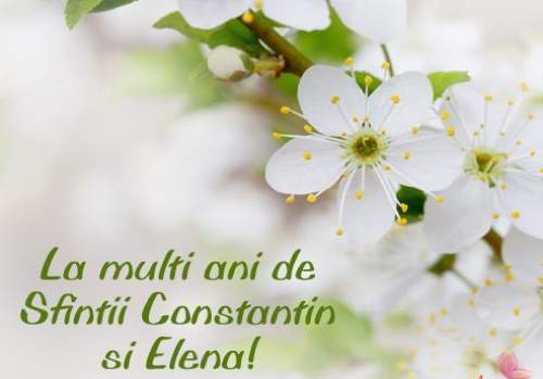 la-multi-ani-constantin-elena-1