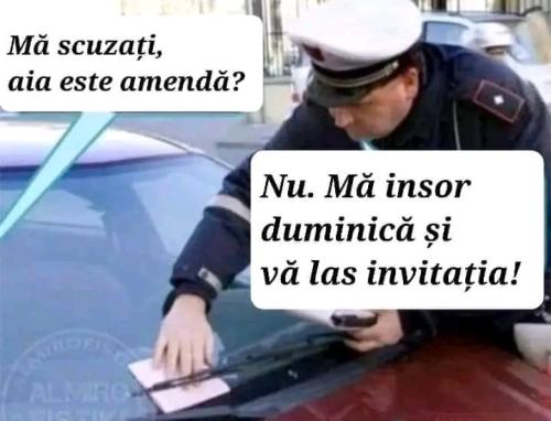 ce face un politist la masina unui sofer