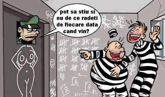 de Ce rad puscariasi de gardian