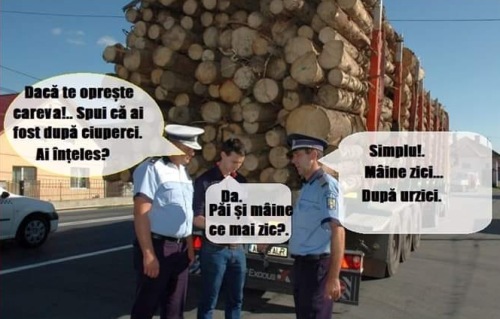 politistii si hotii de lemne