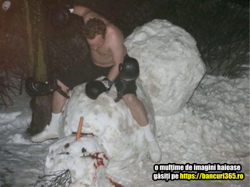 pe cine bate un boxer