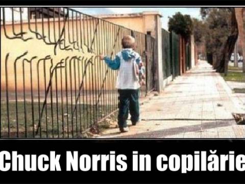 Cele mai haioase imagini cu Chuck Norris