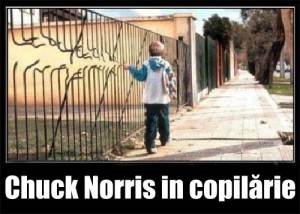 Cele mai haioase imagini cu Chuck Norris