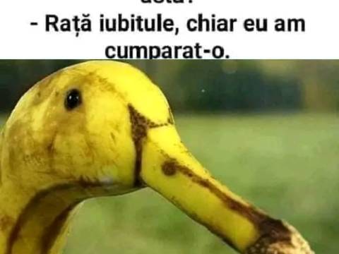 Ce a pregătit Maria pentru cină