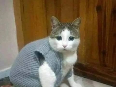 De ce a răcit un pacient