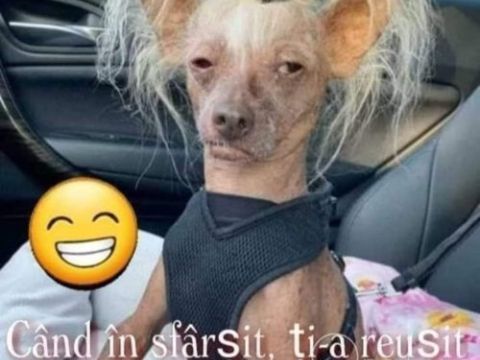 Bancul zilei 5 octombrie 2025