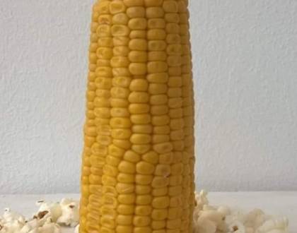 Ce mai manâncă bețivi 