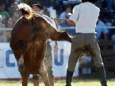 Ce face un jockeu pentru ultima oară