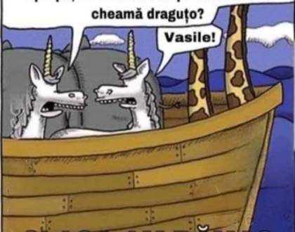 Intrebarea de la ora de religie