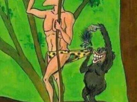 Ce i-a facut Tarzan lui Jane