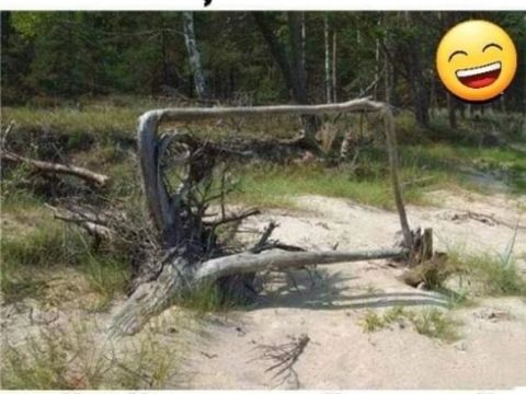 Bancul zilei 19 septembrie 2025