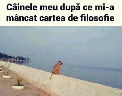 De c&acirc;ţi filosofi e nevoie ca să schimbe un bec