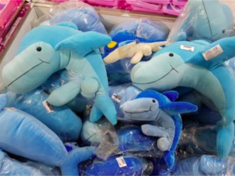 Ce fel de delfini se vând la Constanța