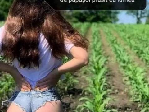 De ce s-a liniștit Ion