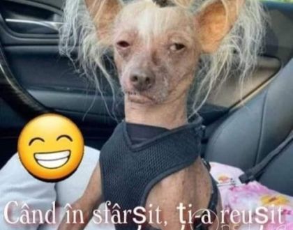 Bancul zilei 5 octombrie 2025