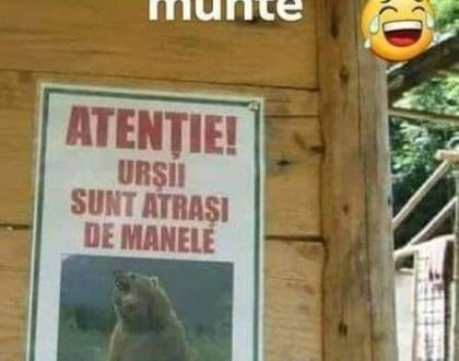 Ce dorințe au un urs și un iepuraș