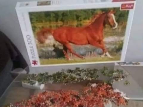 De ce un tip se duce la psiholog