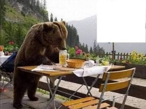 Cum se dă mare iepurașul