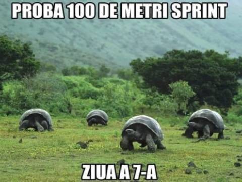 Proba de 100 metri sprint