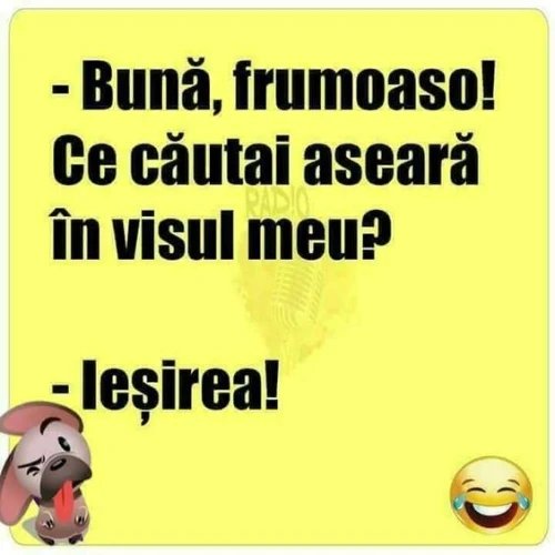 Ce cauta o tipa in visul unui barbat bancuri