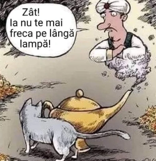 Ce problema are duhul din lampa fermecata