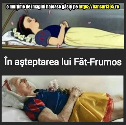 Ileana Cosanzeana il asteapta pe Fat Frumos