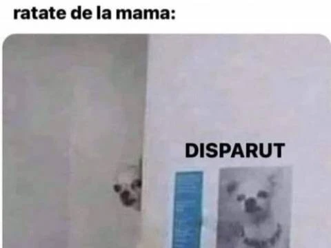 De ce un bărbat este &icirc;ndurerat