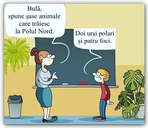 bancuri cu Bula scos la tabla