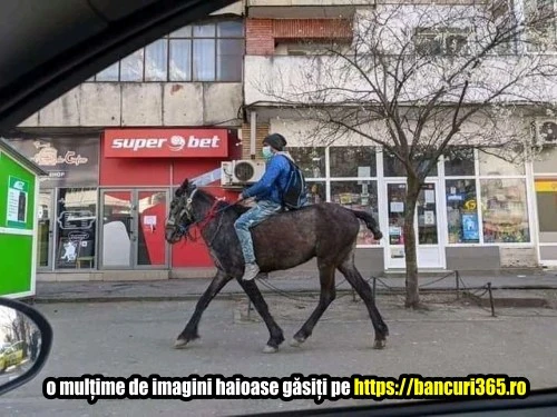 bancuri cu calul la plimbare