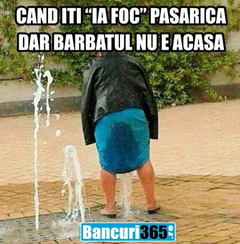 cand iti ia foc pasarica bancuri 365