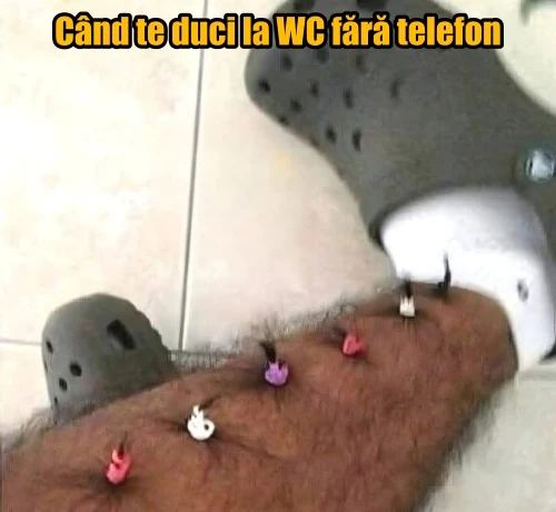Ce face lumea cand se duce la WC fără telefon