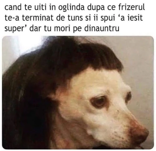 cand un client de la frizerie este nemultumit