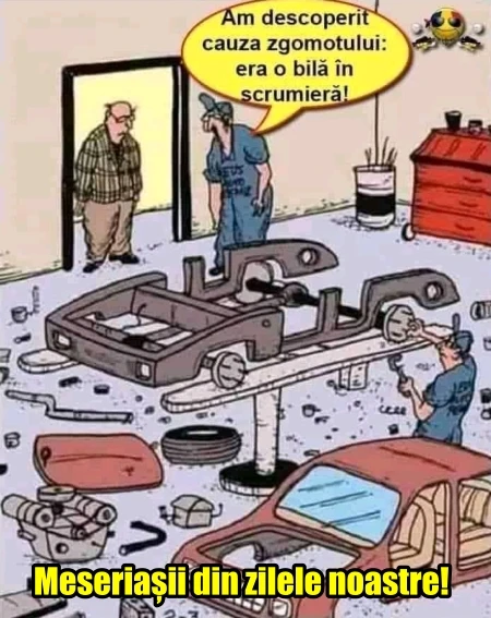 care era cauza zgomotului de la o masina