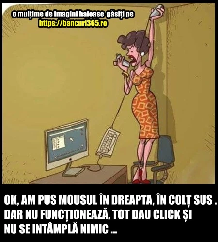 cat de bine pregatiti sunt internautii