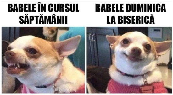 cat de diferite sunt babel in cursul saptamanii