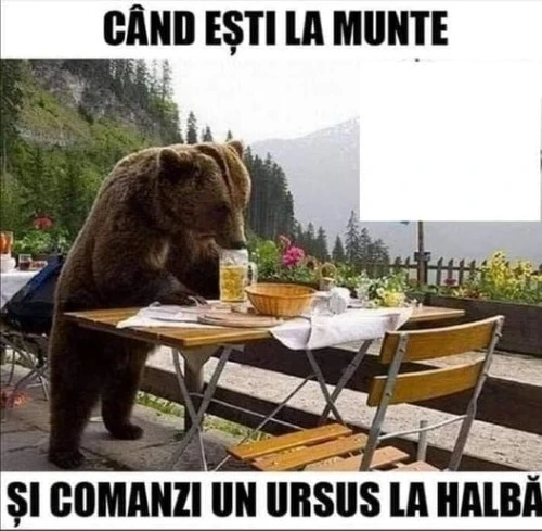 ce Se intampla cand comanzi un Ursus la halba
