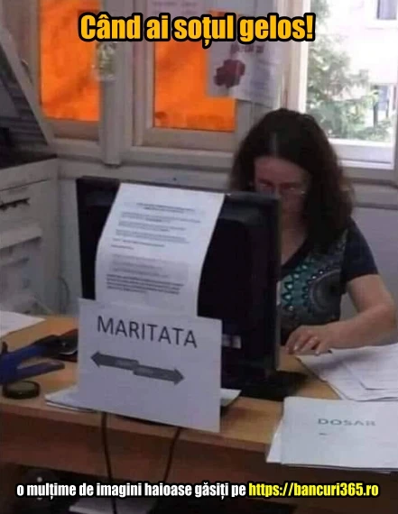 ce afis a pus un sot gelos bancuri