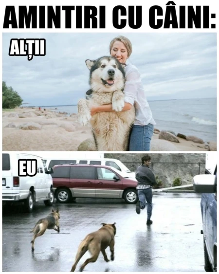 ce amintiri au altii si ce amintiri ai tu cu cainii